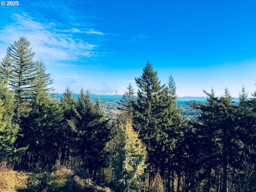 0 Sw MILLER Ct, Gresham, OR 97080