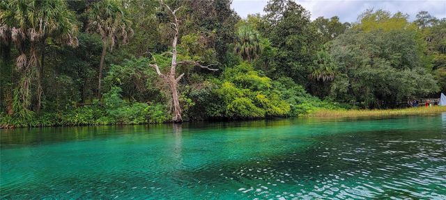 10257 SW 193RD CT, Dunnellon, FL 34432