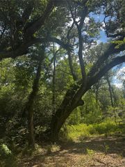 7800 A Brazos River Road, Damon, TX 77430