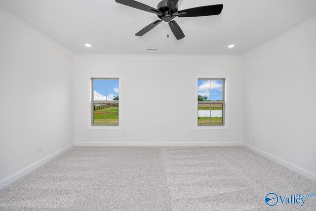 225 Soland Drive, Toney, AL 35773