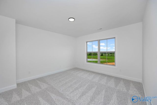 225 Soland Drive, Toney, AL 35773