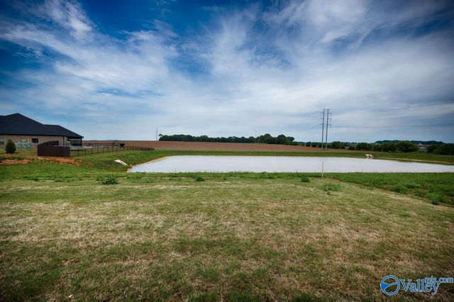 225 Soland Drive, Toney, AL 35773