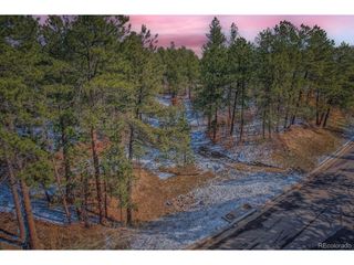 665 Copper Fox Pl, Larkspur, CO 80118