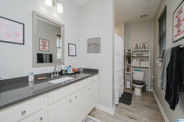 1225 LILLIAN TERRACE, Hoover, AL 35244