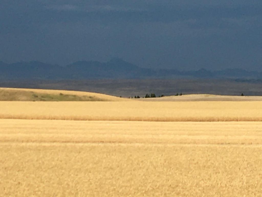 6628 8 Mile Bench Road, Big Sandy, MT 59520 photo 11