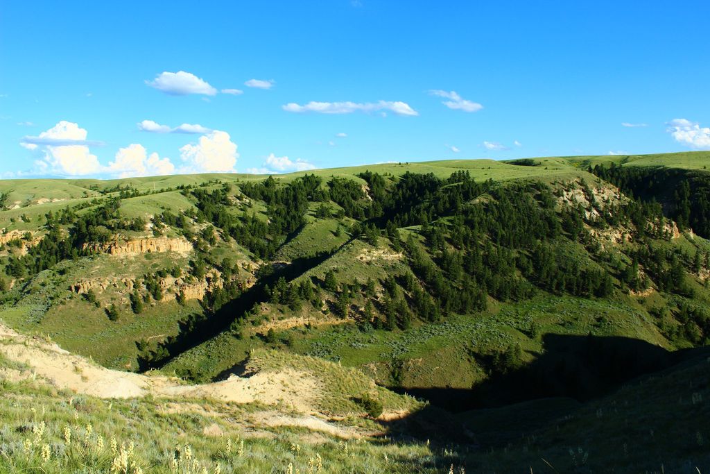 6628 8 Mile Bench Road, Big Sandy, MT 59520 photo 29