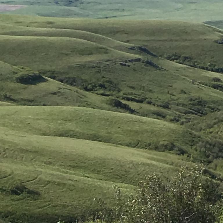 6628 8 Mile Bench Road, Big Sandy, MT 59520 photo 30