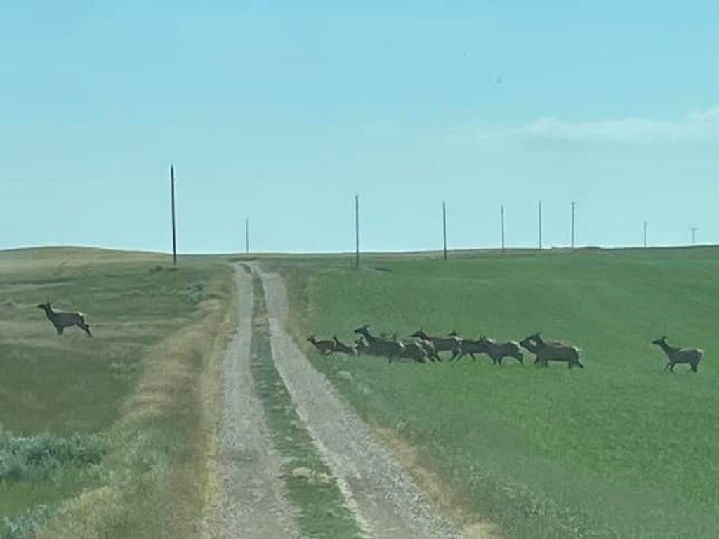 6628 8 Mile Bench Road, Big Sandy, MT 59520 photo 39