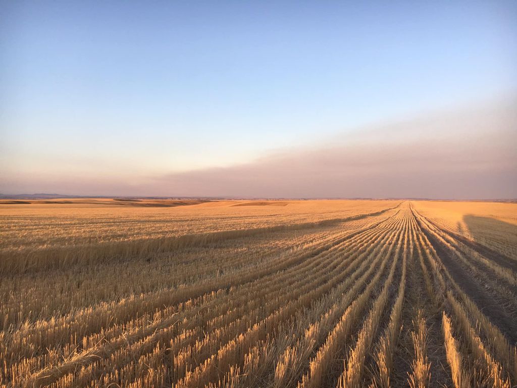 6628 8 Mile Bench Road, Big Sandy, MT 59520 photo 4