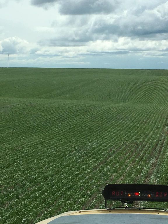 6628 8 Mile Bench Road, Big Sandy, MT 59520 photo 5