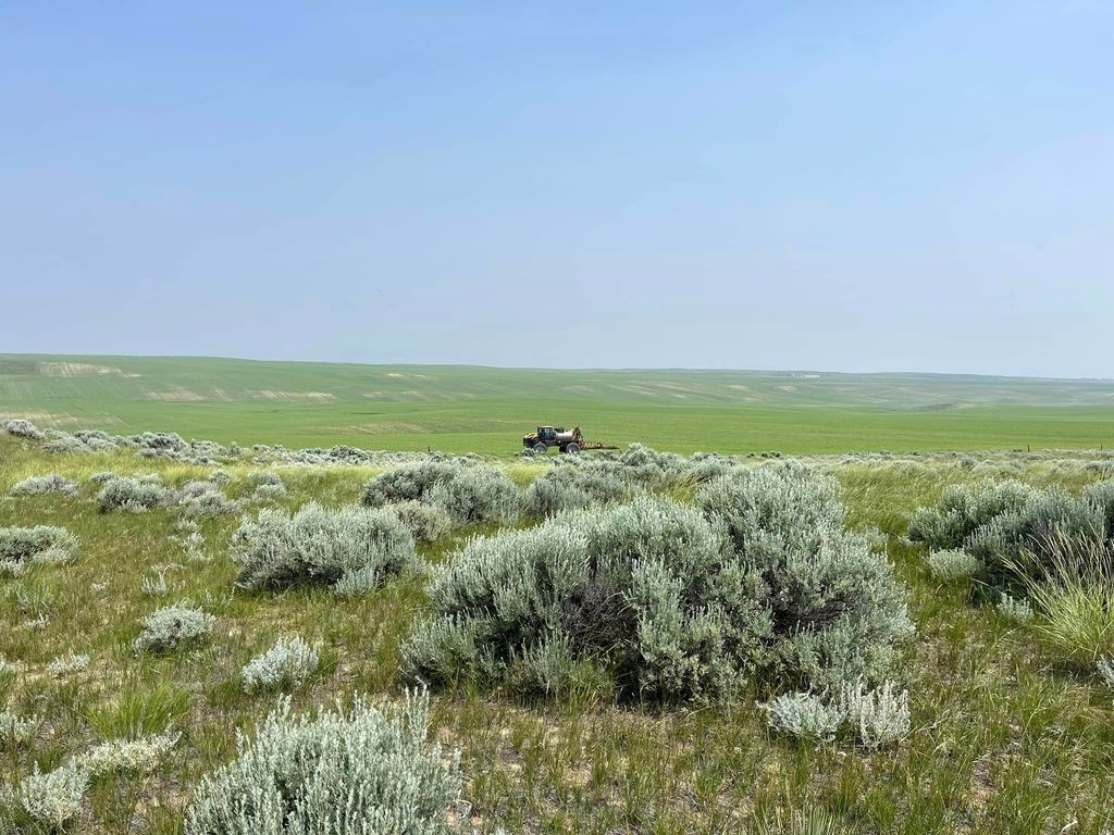 6628 8 Mile Bench Road, Big Sandy, MT 59520 photo 9