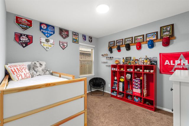 1071 Cedar Lake Court, Conroe, TX 77384