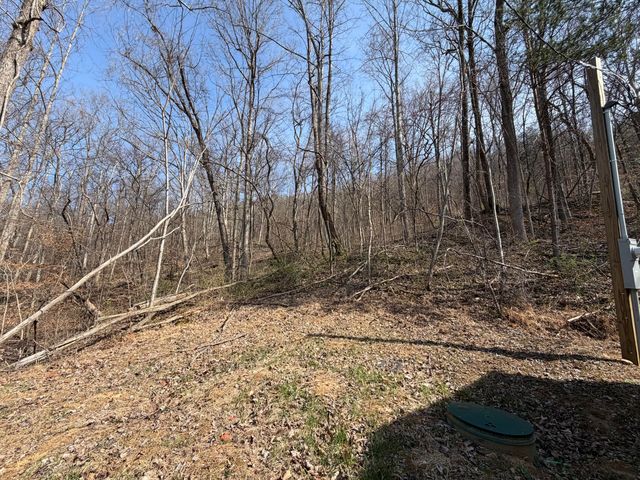 1600 Jerrica Leigh Lane, Stanton, KY 40380