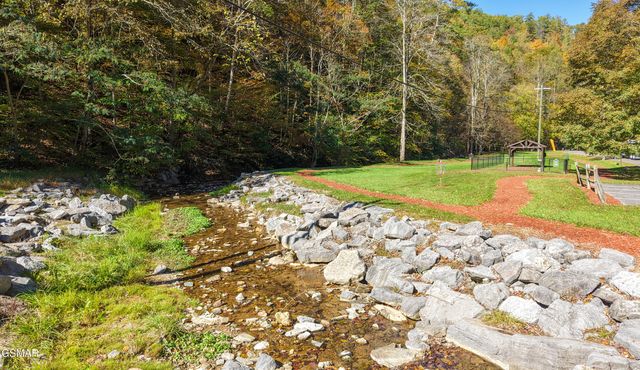 2338 Willow Lane, Sevierville, TN 37862