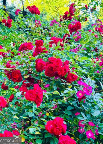 1509 High Point Road, Bowdon, GA 30108