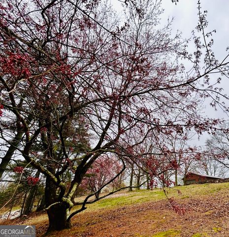 1509 High Point Road, Bowdon, GA 30108