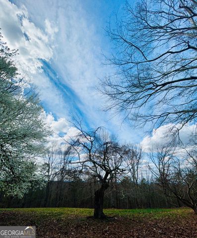 1509 High Point Road, Bowdon, GA 30108