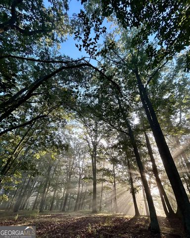 1509 High Point Road, Bowdon, GA 30108