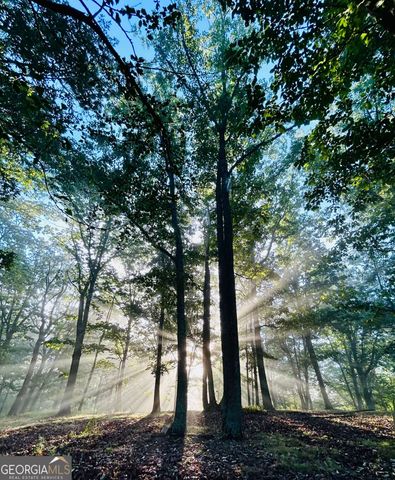 1509 High Point Road, Bowdon, GA 30108