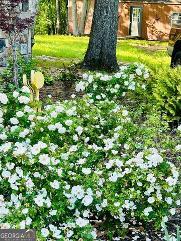 1509 High Point Road, Bowdon, GA 30108