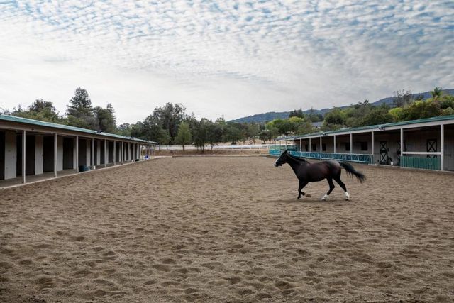 15288 Via Pinto, Monte Sereno, CA 95030