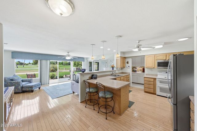 10102 W HIGHWOOD Lane, Sun City, AZ 85373