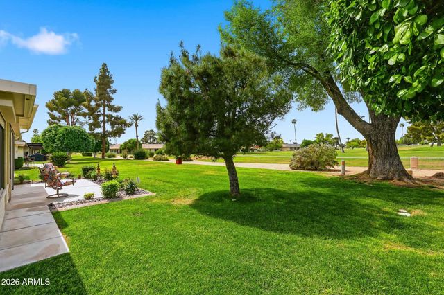 10102 W HIGHWOOD Lane, Sun City, AZ 85373