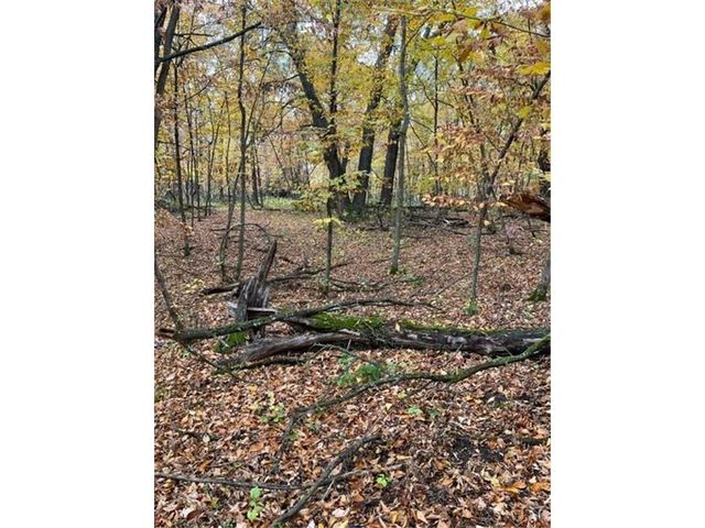 Lot 3 Tiger Street NW, Zimmerman, MN 55398