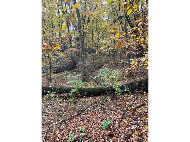 Lot 3 Tiger Street NW, Zimmerman, MN 55398