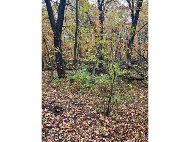 Lot 3 Tiger Street NW, Zimmerman, MN 55398