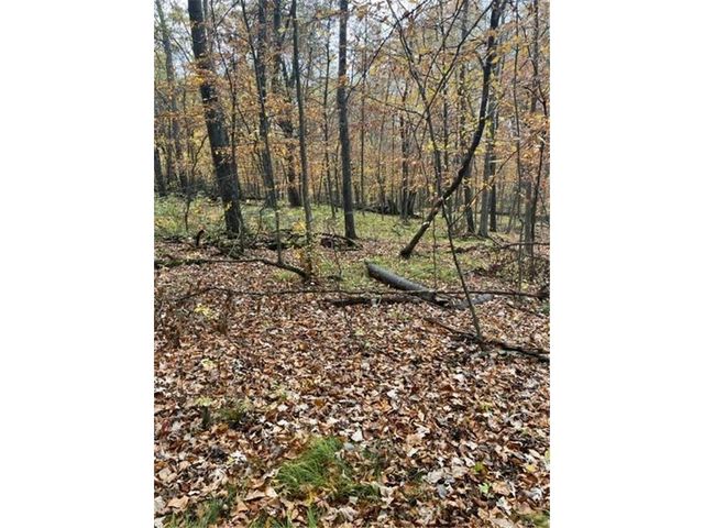 Lot 3 Tiger Street NW, Zimmerman, MN 55398