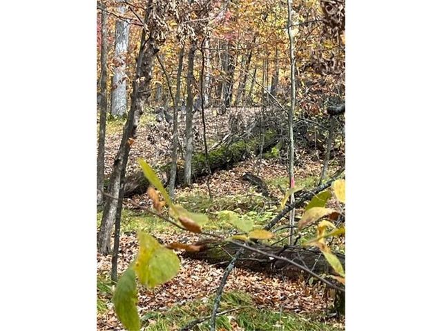 Lot 3 Tiger Street NW, Zimmerman, MN 55398