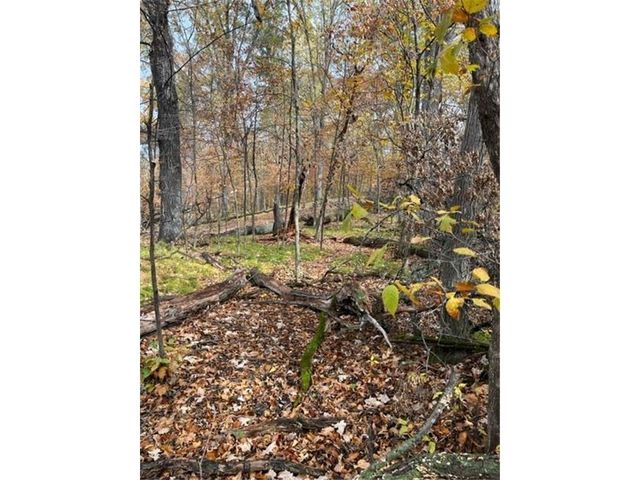 Lot 3 Tiger Street NW, Zimmerman, MN 55398