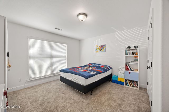 411 Sophia Jane Lane, Duenweg, MO 64841