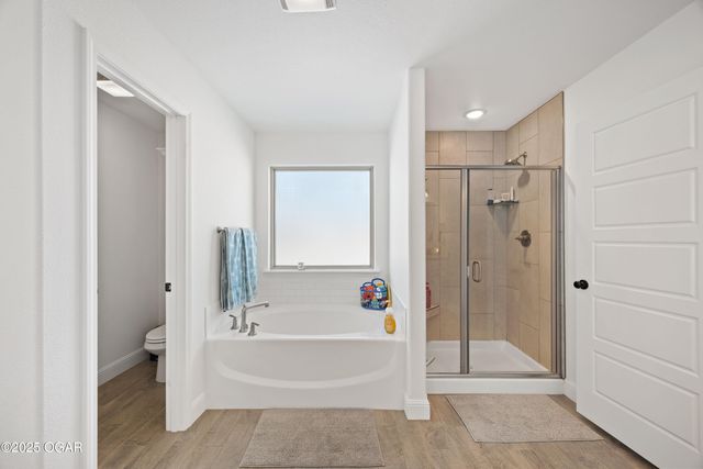 411 Sophia Jane Lane, Duenweg, MO 64841