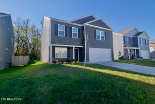 9425 River Cane Rd, Mascot, TN 37806