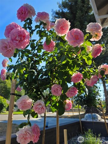 29317 44th Place S, Auburn, WA 98001