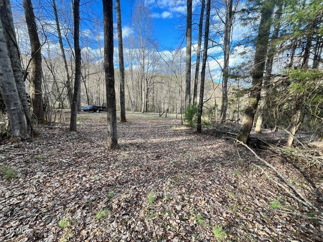 179 Carl Taylor Drive, Elizabethton, TN 37643