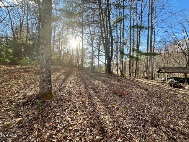 179 Carl Taylor Drive, Elizabethton, TN 37643