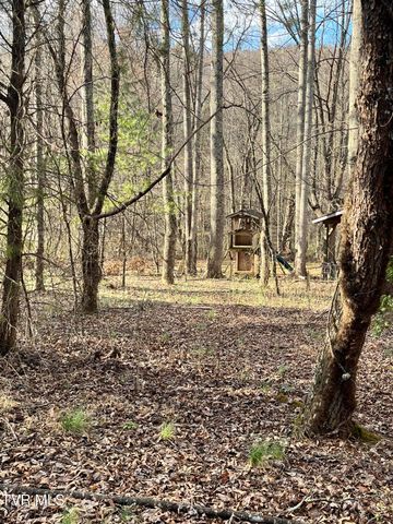 179 Carl Taylor Drive, Elizabethton, TN 37643