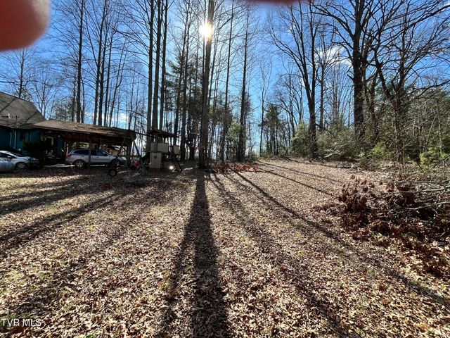 179 Carl Taylor Drive, Elizabethton, TN 37643