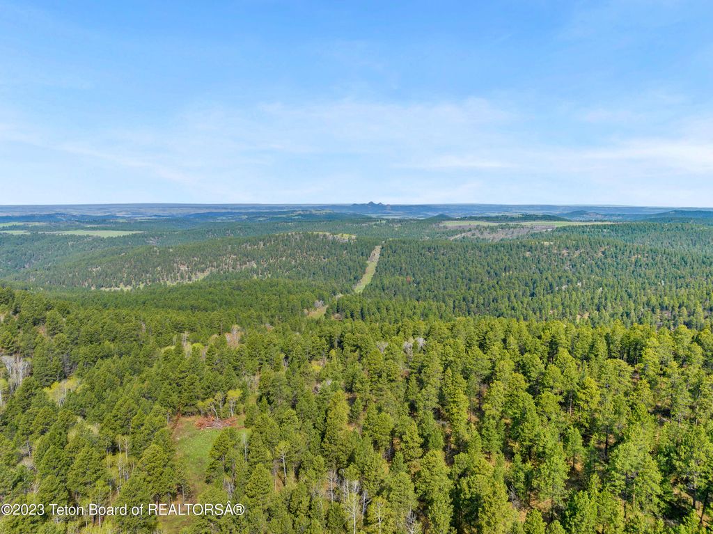 140 COW CAMP Road, Sundance, WY 82729 photo 10