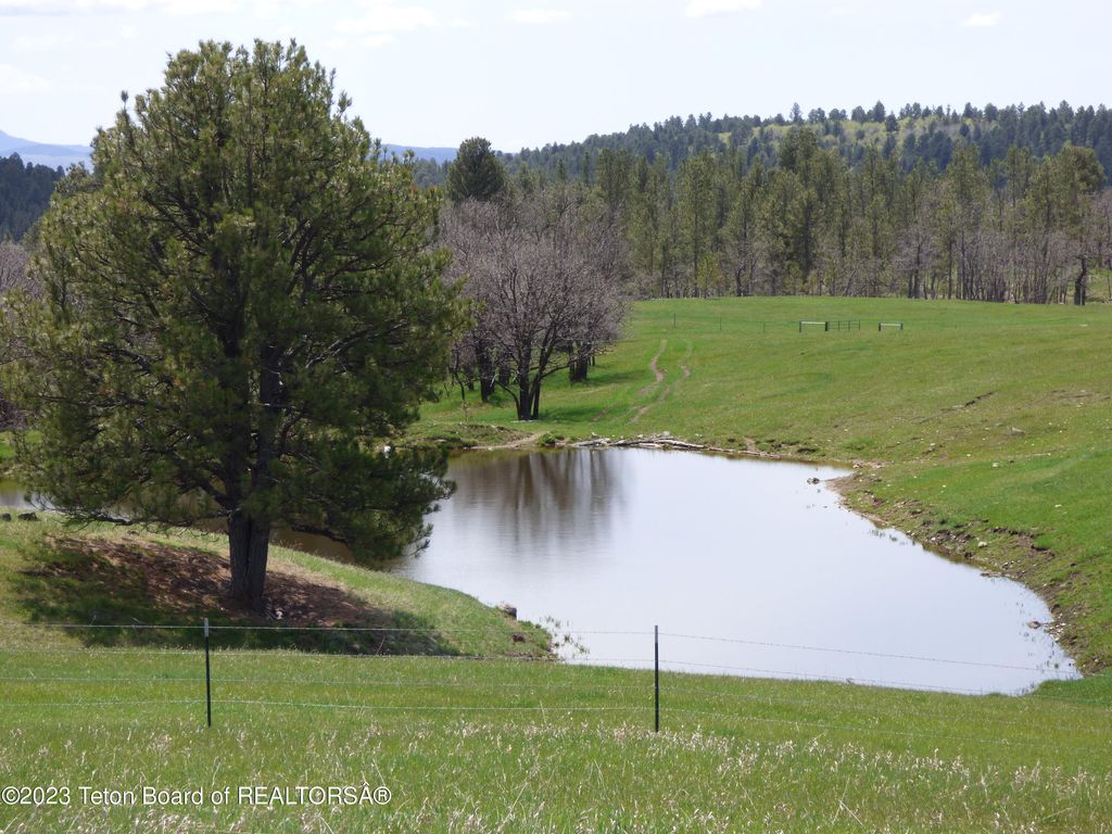 140 COW CAMP Road, Sundance, WY 82729 photo 106