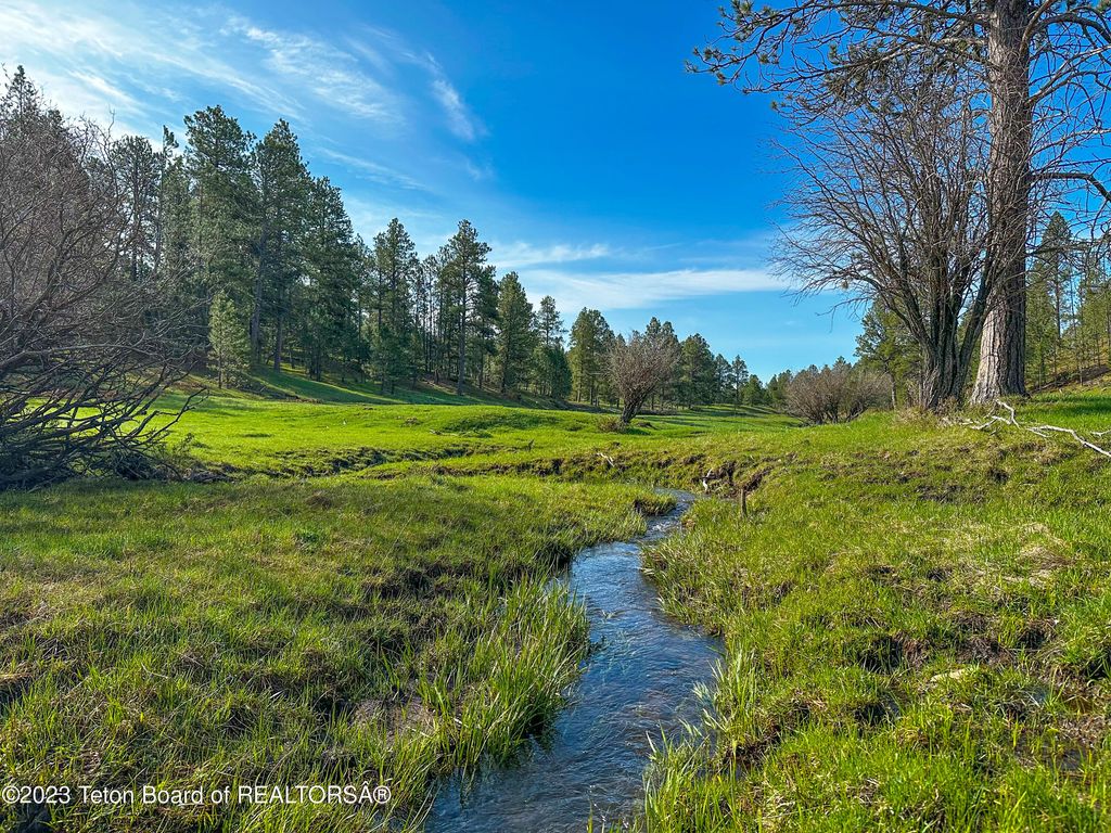 140 COW CAMP Road, Sundance, WY 82729 photo 28