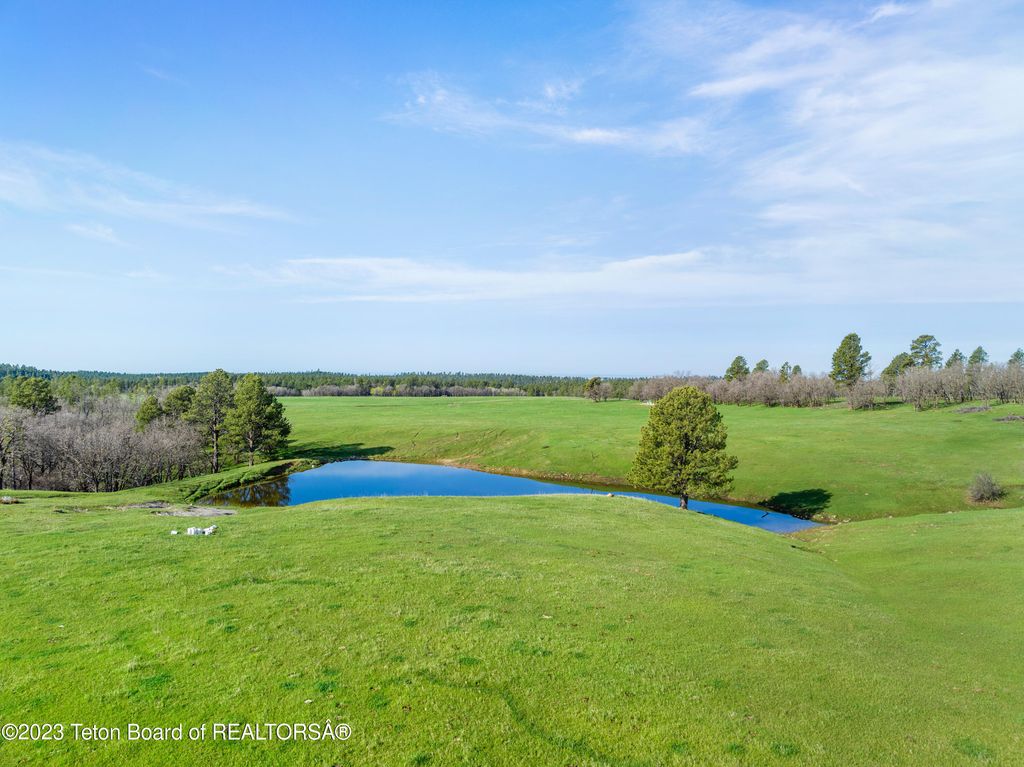 140 COW CAMP Road, Sundance, WY 82729 photo 37