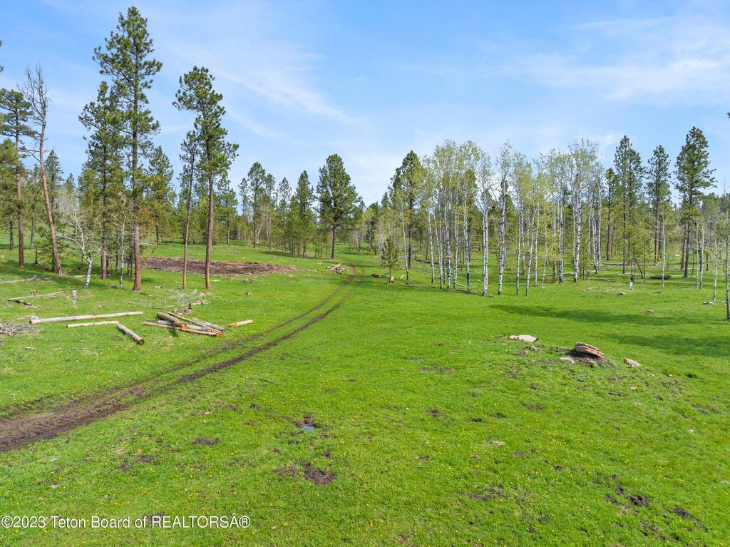 140 COW CAMP Road, Sundance, WY 82729 photo 43