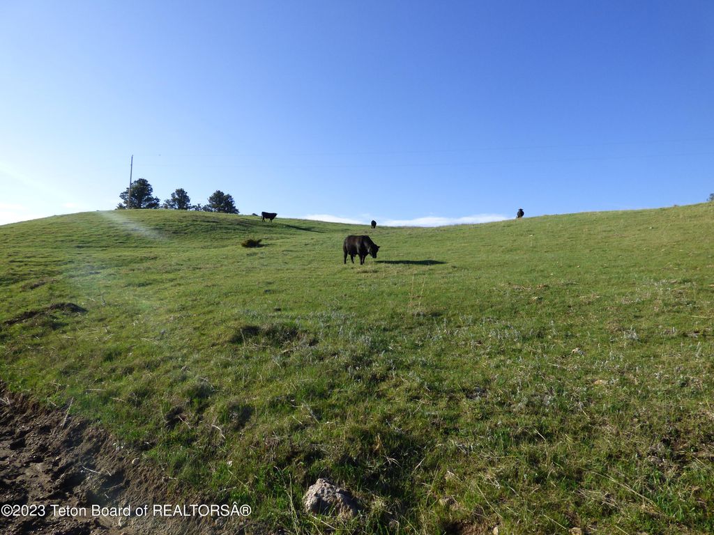 140 COW CAMP Road, Sundance, WY 82729 photo 44
