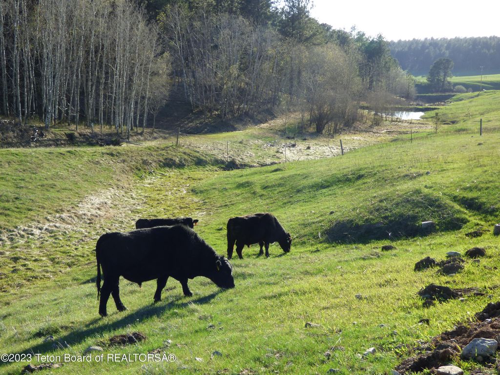 140 COW CAMP Road, Sundance, WY 82729 photo 50