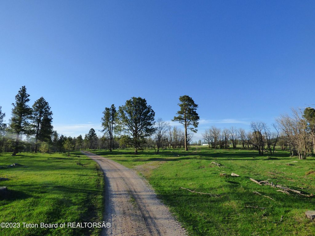 140 COW CAMP Road, Sundance, WY 82729 photo 59