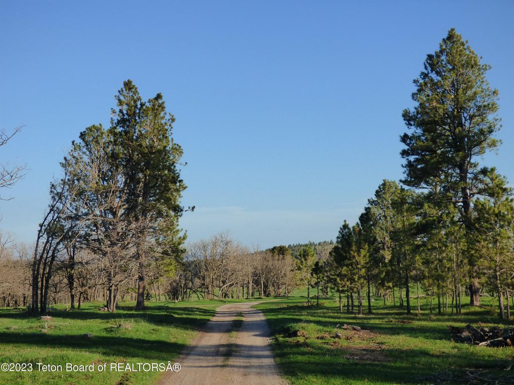 140 COW CAMP Road, Sundance, WY 82729 photo 61